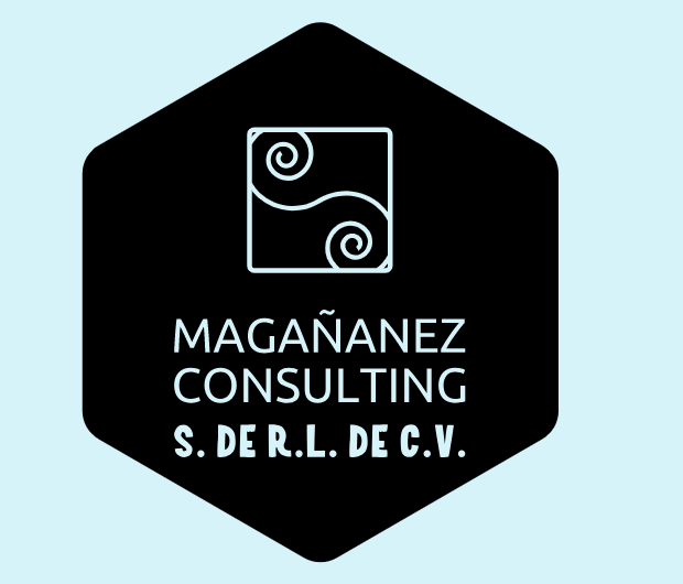 Magañanez-Consulting